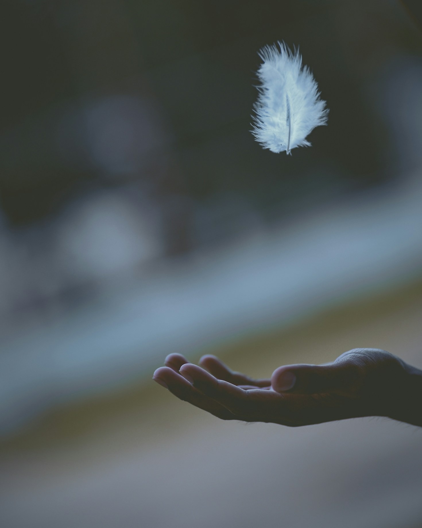 How Releasing Stored Trauma Can Transform Your Life